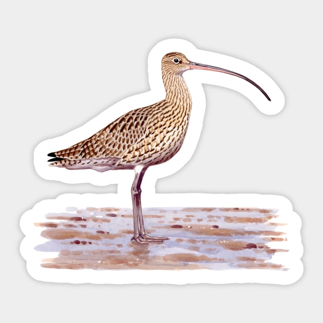 Far-eastern Curlew painting Sticker by kokayart